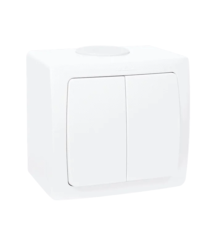 Interrupteur va et vient double