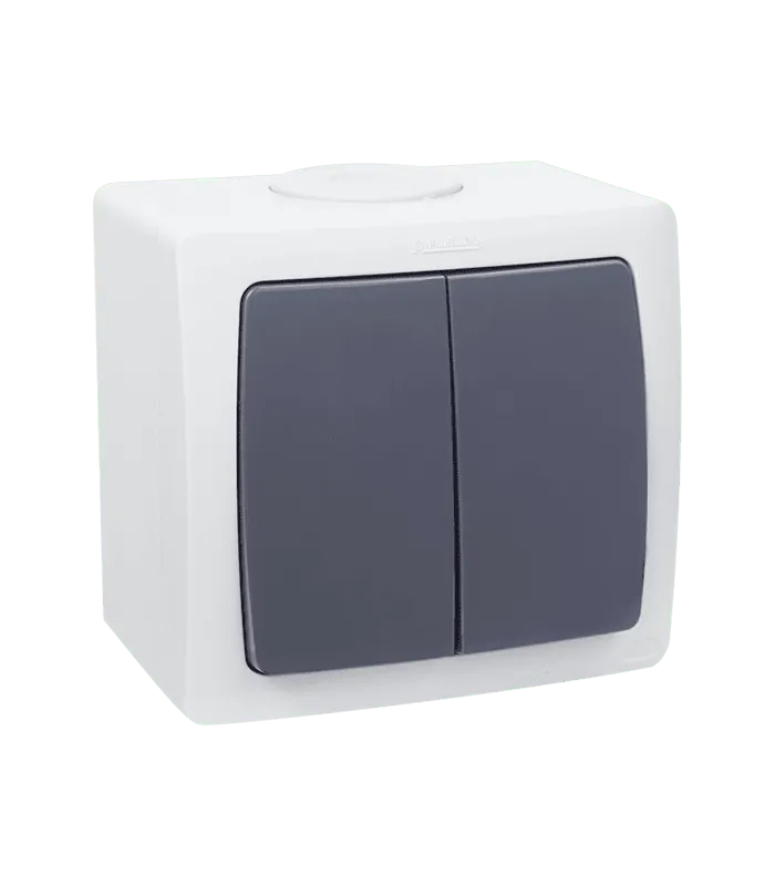 Interrupteur va et vient double