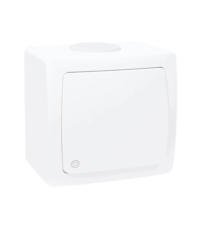 Poussoir à bascule non lumineux