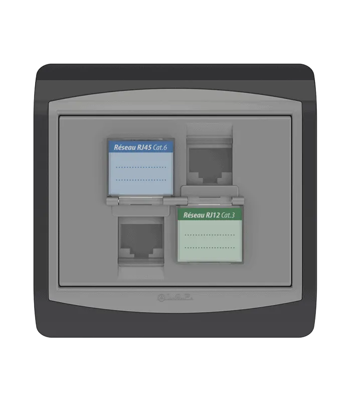 Double prise RJ45 CAT.6 + Prise RJ12 CAT.3 + obturateurs