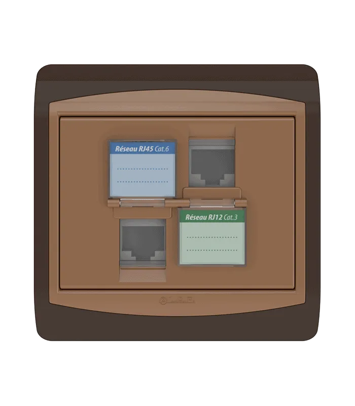 Double prise RJ45 CAT.6 + Prise RJ12 CAT.3 + obturateurs