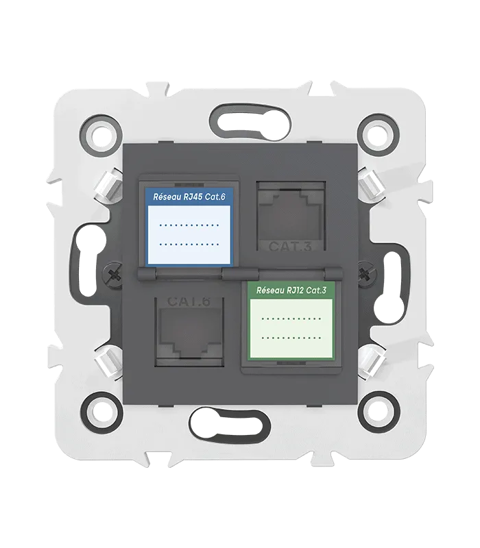 Prise mixte RJ45 CAT.6 + Prise RJ12 CAT.3 + obturateurs