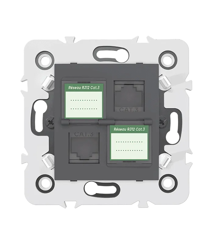 Double prise RJ12 CAT.3 + obturateurs