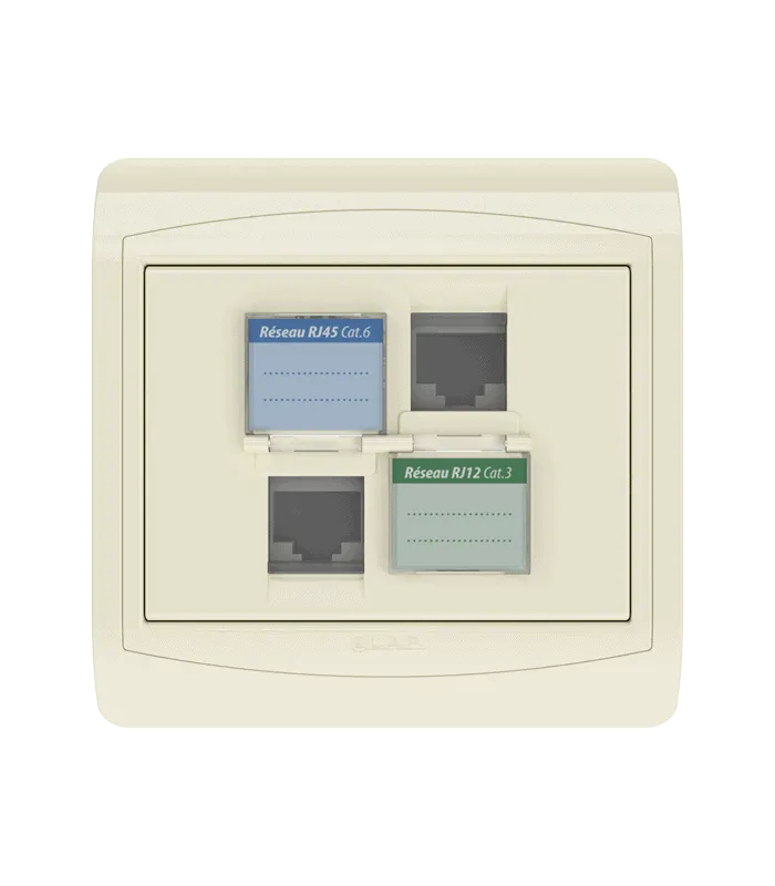 Double prise RJ45 CAT.6 + Prise RJ12 CAT.3 + obturateurs